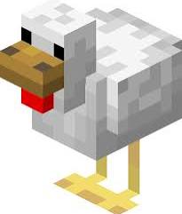 Poulet pet