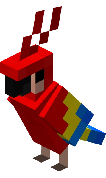 Perroquet pet