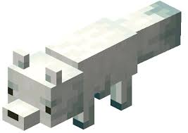 Renard pet