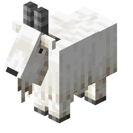 Chèvre pet