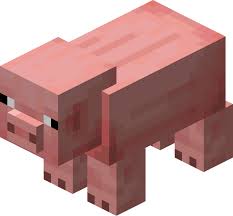 Cochon pet