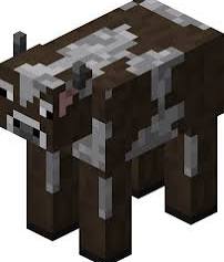Vache pet