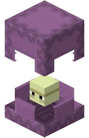 Shulker pet