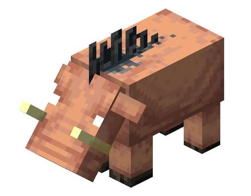 Hoglin pet