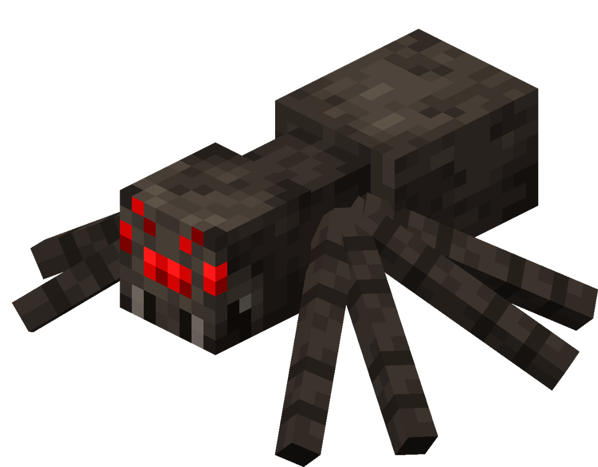 Araignée pet