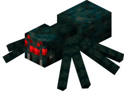 Araignée venimeuse  pet