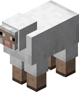 Mouton pet