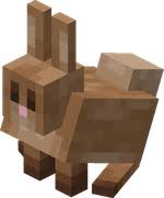 Lapin pet