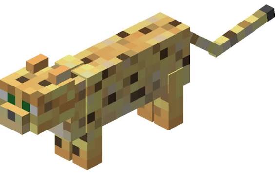 Ocelot pet