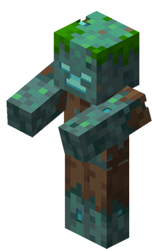 Noyé pet