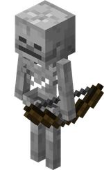 Squelette pet